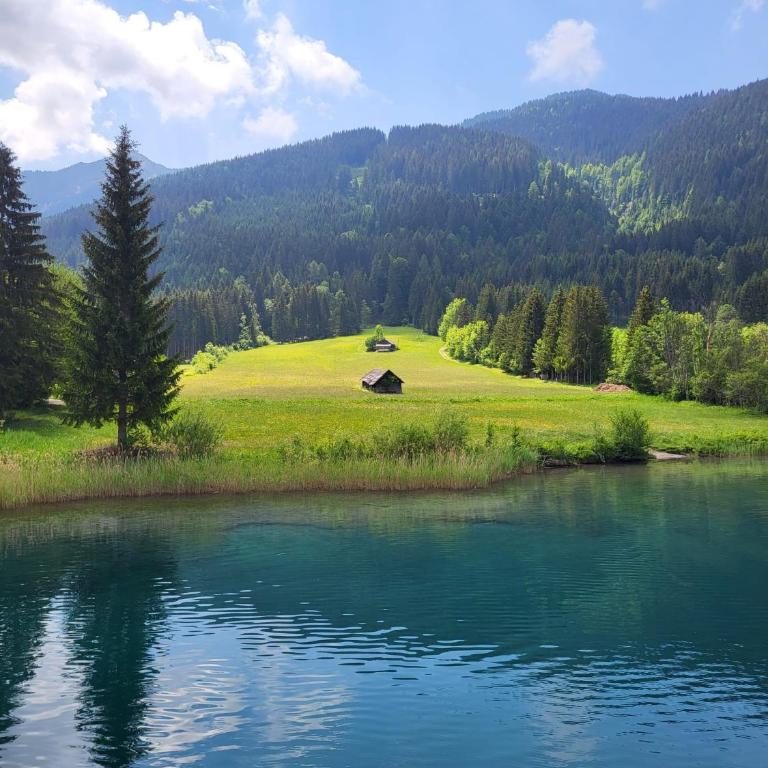 Alpenblick Apartment - Apartment mit 1 Schlafzimmer - 40