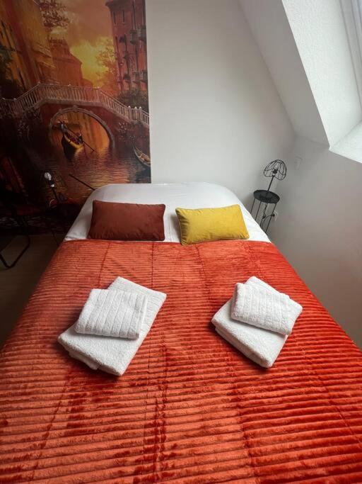 Esprit Italie, joli studio au coeur de Mulhouse - Appartement 1 Chambre - 7