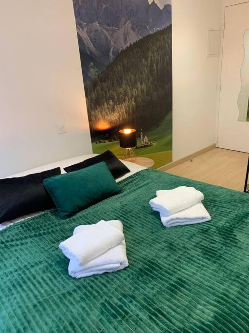 Esprit Suisse, Joli studio au coeur de Mulhouse - One-Bedroom Apartment - 5