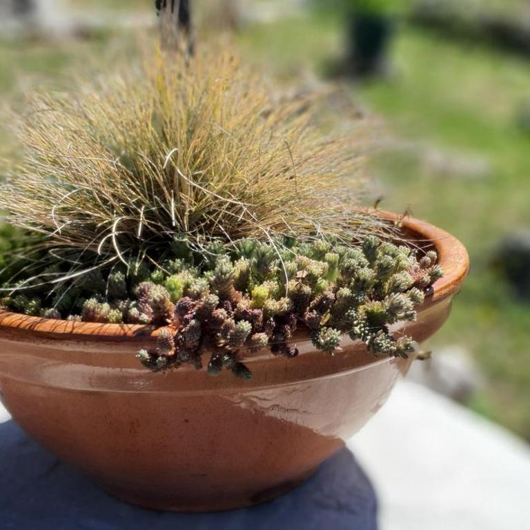 Zlatiborska Brvnara Rebic Mountain House - One-Bedroom Chalet - 50