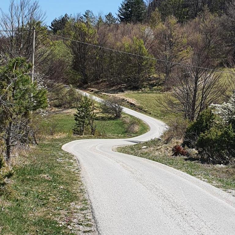 Zlatiborska brvnara Mountain House Reba - Brvnara sa 1 Spavaćom Sobom - 57