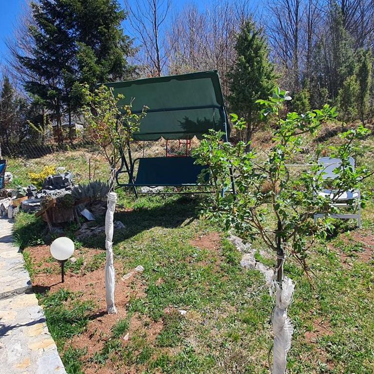Zlatiborska Brvnara Rebic Mountain House - One-Bedroom Chalet - 23