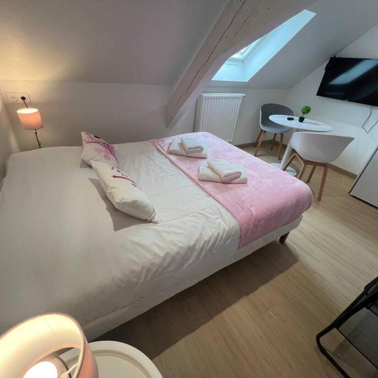Esprit France, joli studio au coeur de Mulhouse - Appartement 1 Chambre - 1