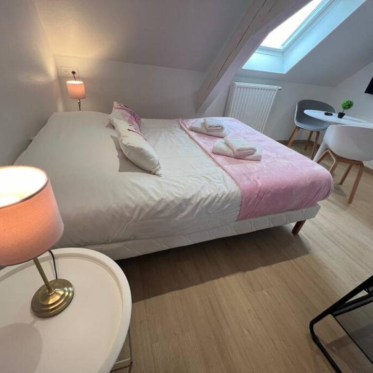 Esprit France, joli studio au coeur de Mulhouse - Appartement 1 Chambre - 4