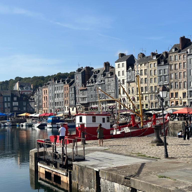 Appartement rénové - Centre Honfleur - Parking - Plage à pied - Appartement 1 Chambre - 30
