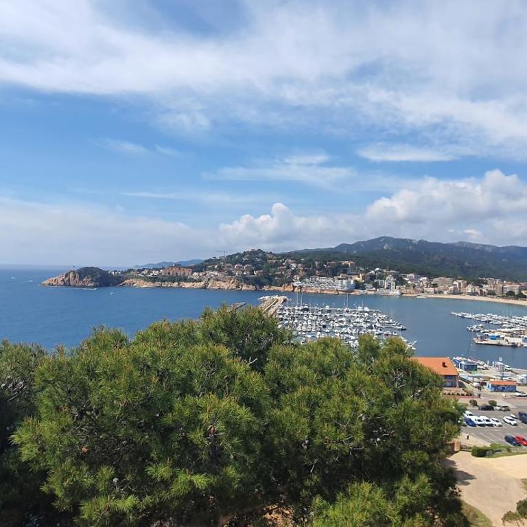 COSTA BRAVA SUITES VILLA Cala Jonca - Villa con vistas al mar - 56