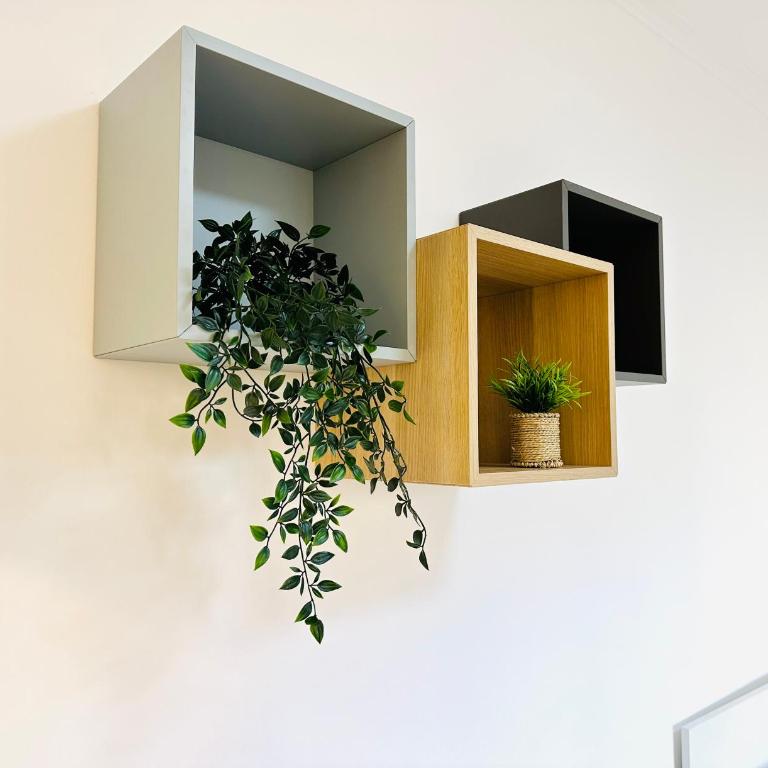 Golden Oasis - Apartman sa 1 Spavaćom Sobom - 17