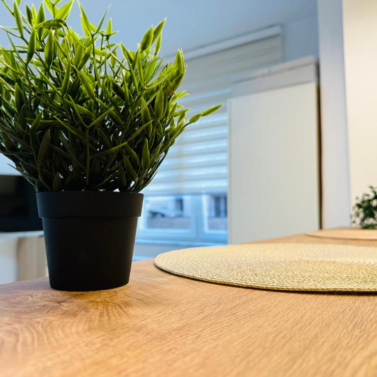 Golden Oasis - Apartman sa 1 Spavaćom Sobom - 23