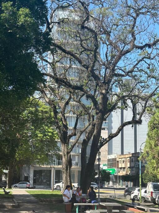 Pura Vida - Plaza Alberdi - Apartamento de 2 dormitorios con vistas a la montaña - 26