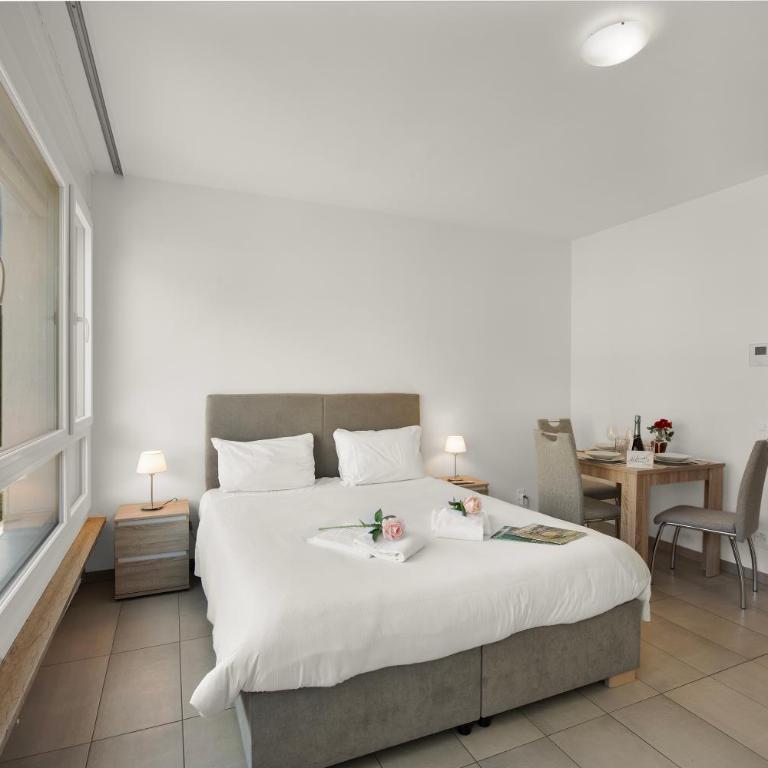 Locarno city - Monolocale con Vista Montagna - 7