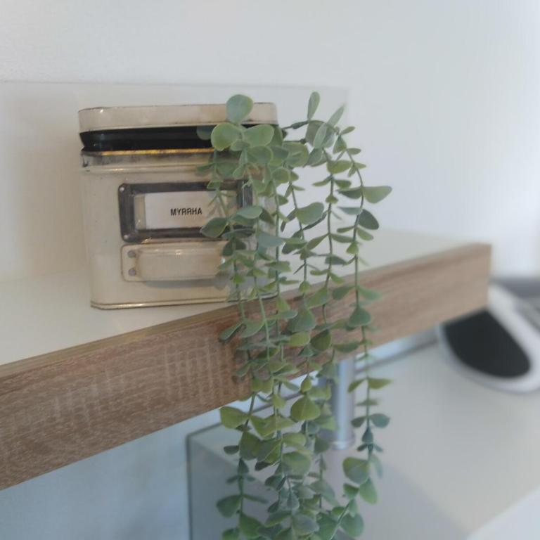 Schlafende Hexe - Apartment mit Gartenblick - 6
