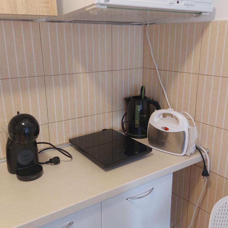 Ljubovic apartman - Apartman sa 1 Spavaćom Sobom - 29