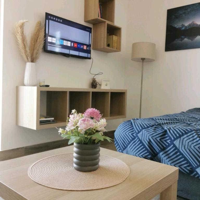 Studio Vidik Sofija - One-Bedroom Apartment - 2