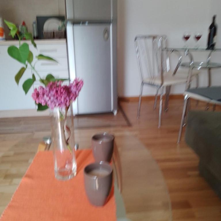 Vesna M - Apartman sa 1 Spavaćom Sobom - 7