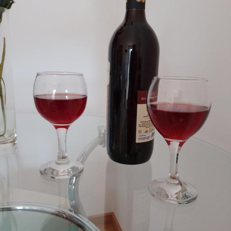 Vesna M - Apartman sa 1 Spavaćom Sobom - 11