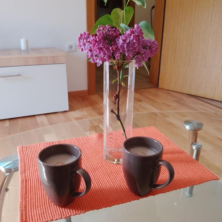 Vesna M - Apartman sa 1 Spavaćom Sobom - 13