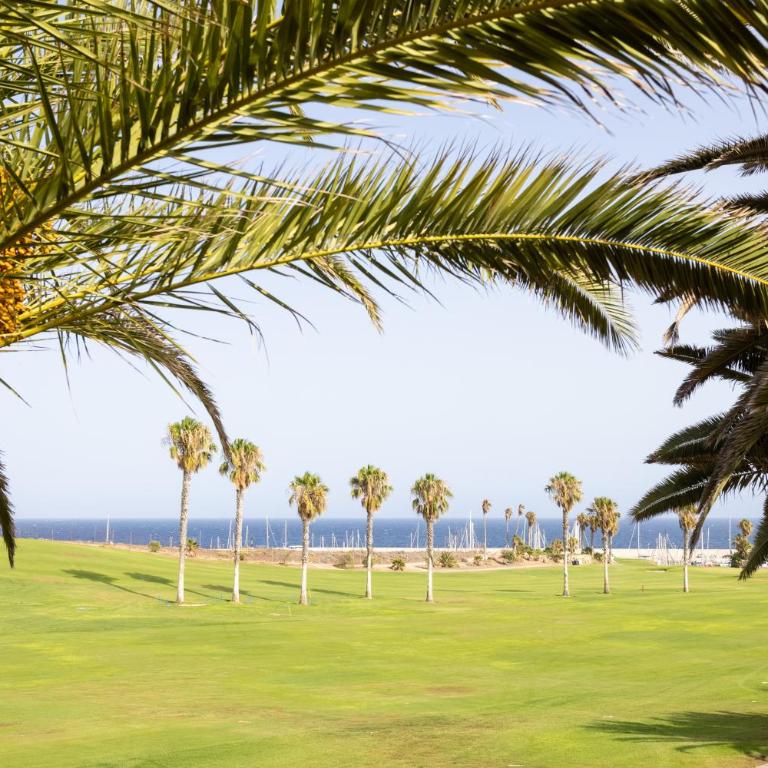 Home2Book Stylish Oasis Pool&Terrace Golf del Sur - Apartamento de 1 dormitorio - 6