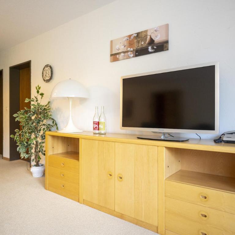 Chasa La Plavna Willeke - Apartment mit 2 Schlafzimmern - 14