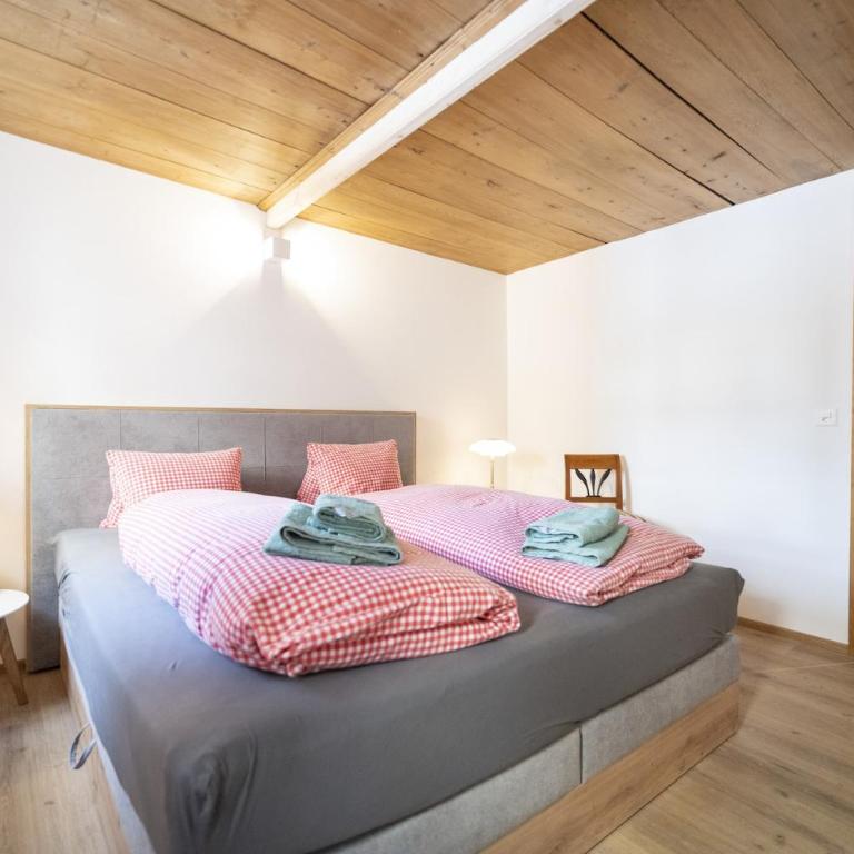 Chasa Capricorn Sent - Apartment - 3
