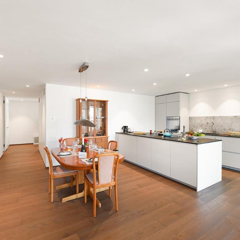 Appartamento Lago e Monti - Garage & Terrace in Locarno - Happy Rentals - Apartamento con terraza - 12