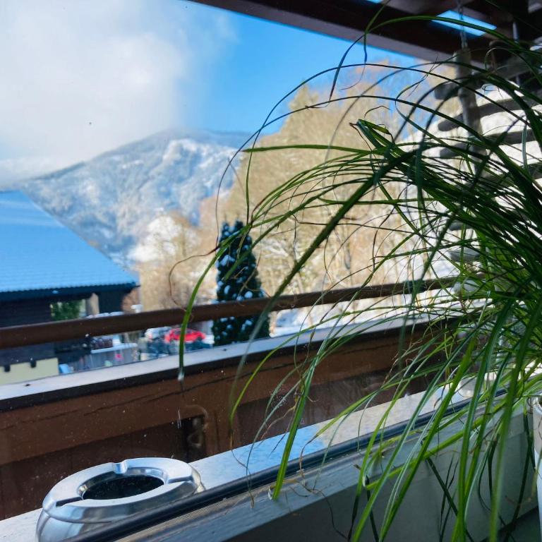 Alpensoul Apartments - Doppelzimmer mit Balkon - 3