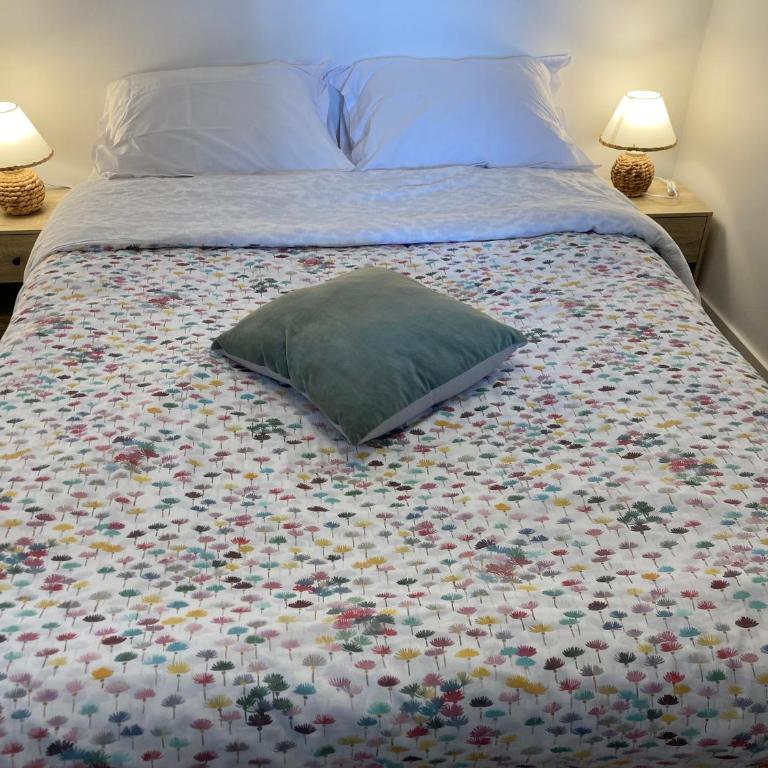 La Loire et ses châteaux avec vos proches - Appartamento con 1 Camera da Letto - 14