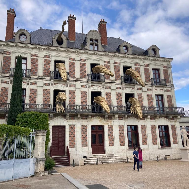 La Loire et ses châteaux avec vos proches - Appartamento con 1 Camera da Letto - 4