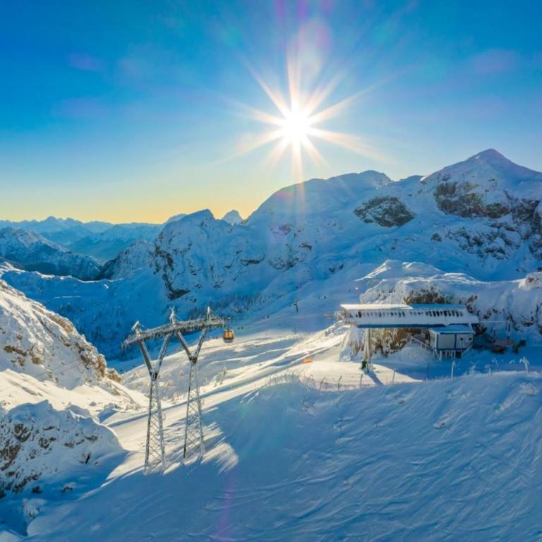 Alpenblick Apartment - Apartment mit 1 Schlafzimmer - 17