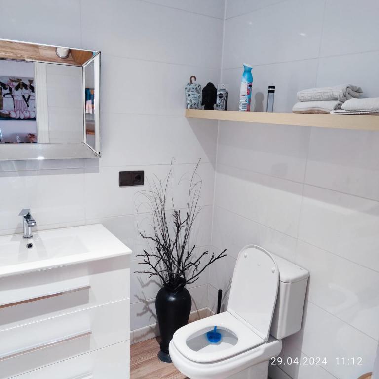 Porta Nova Family Apartment - Apartamento de 2 dormitorios - 39