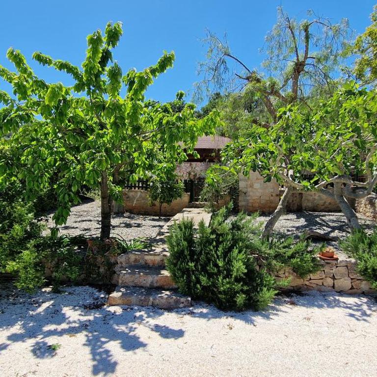 Trullo Grande Noce - Casa Vacanze - 9