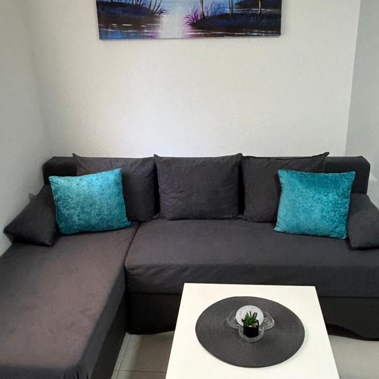 Apartman Tomić Sokobanja - Apartman sa 1 Spavaćom Sobom - 3