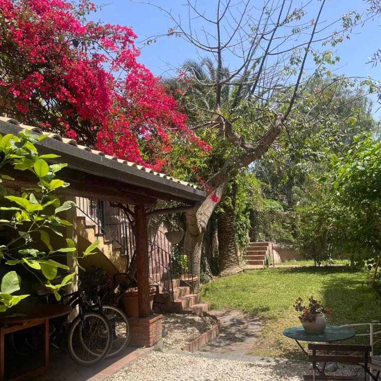 Inn The Garden - Suite - 11