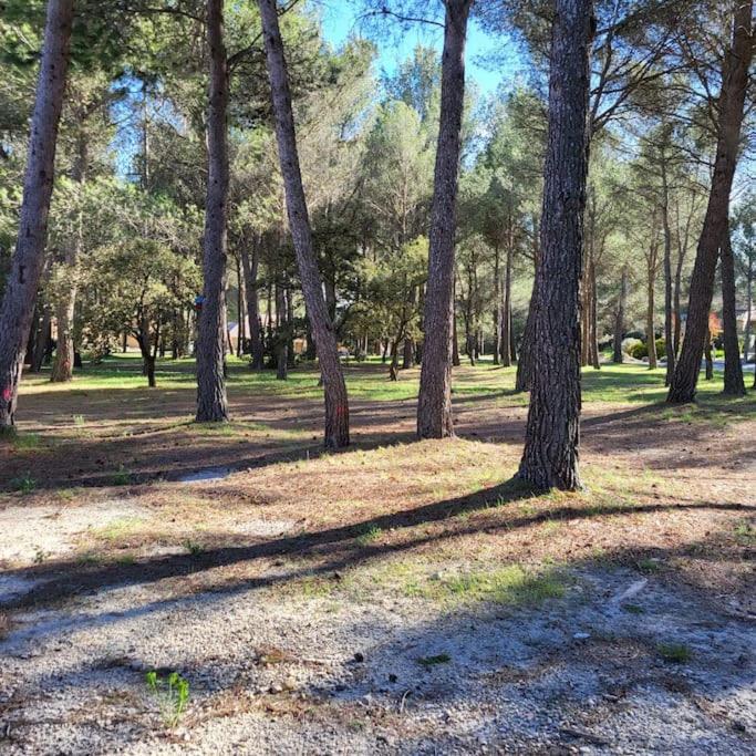 La Calade - Appartamento con 1 Camera da Letto - 11