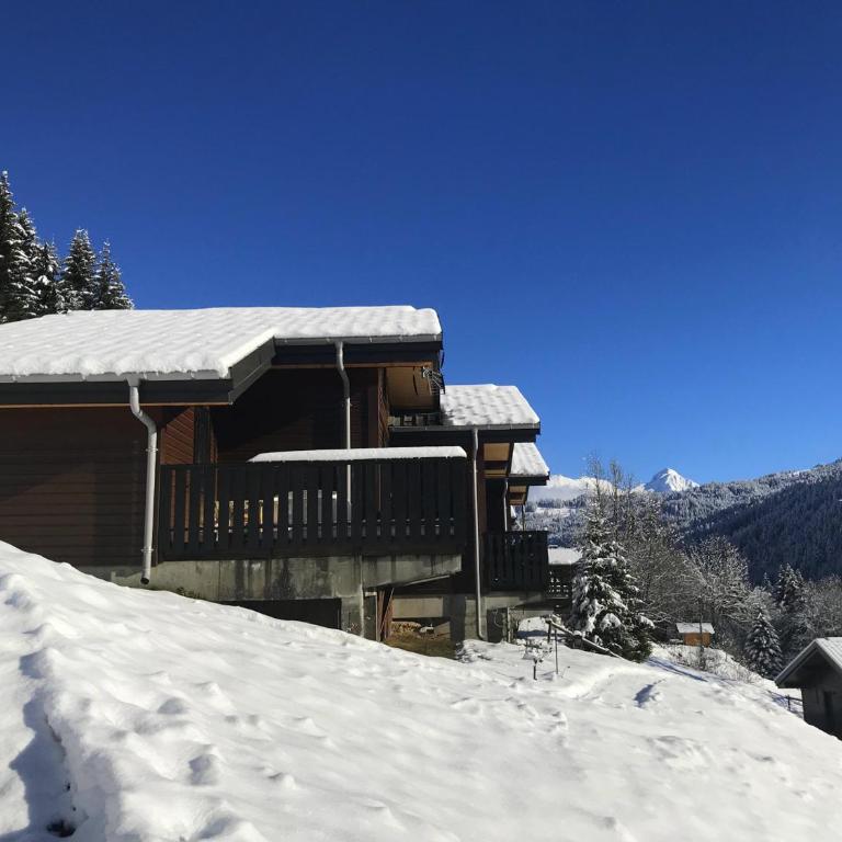 Chalet mitoyen Les Gets 6 pers. - Balcon Sud, Garage, Wi-Fi, Animaux admis - FR-1-671-139 - Chalet - 23