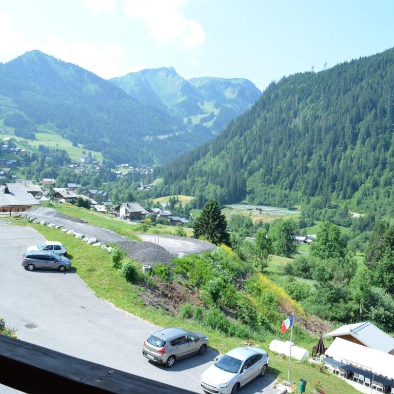 Chalet 3 Pièces, 5 Pers, Balcon, Parking, WIFI, Châtel - FR-1-676-46 - Appartement - 15