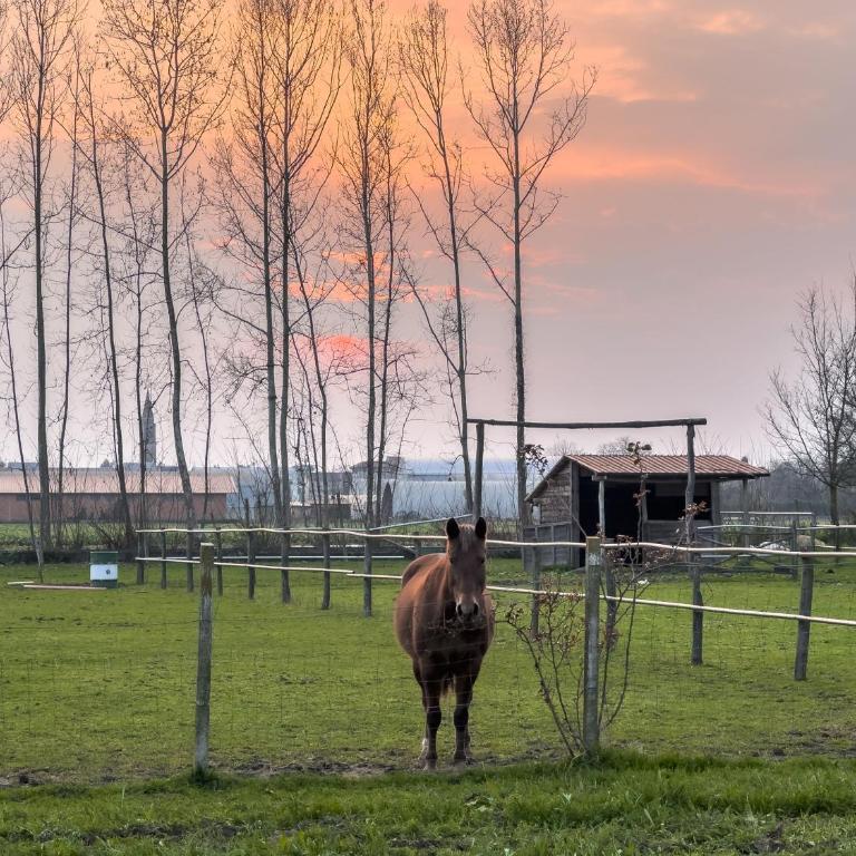 Agriturismo Al Botteniga - Großes Doppelzimmer - 17