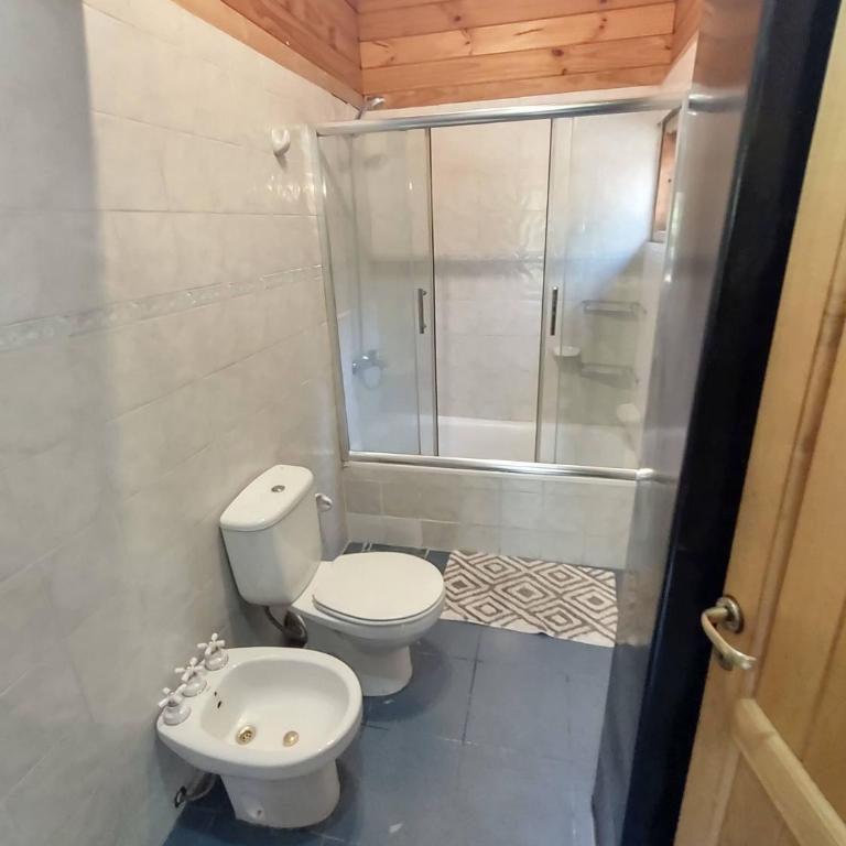 Cabaña rodeada de bosque nativo para 12 c parrilla - Bungalow - 15