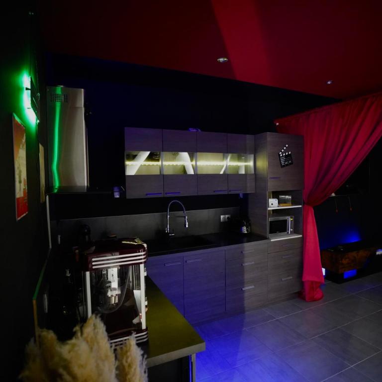 L unique Cinéma Room - Appartement 1 Chambre - 4