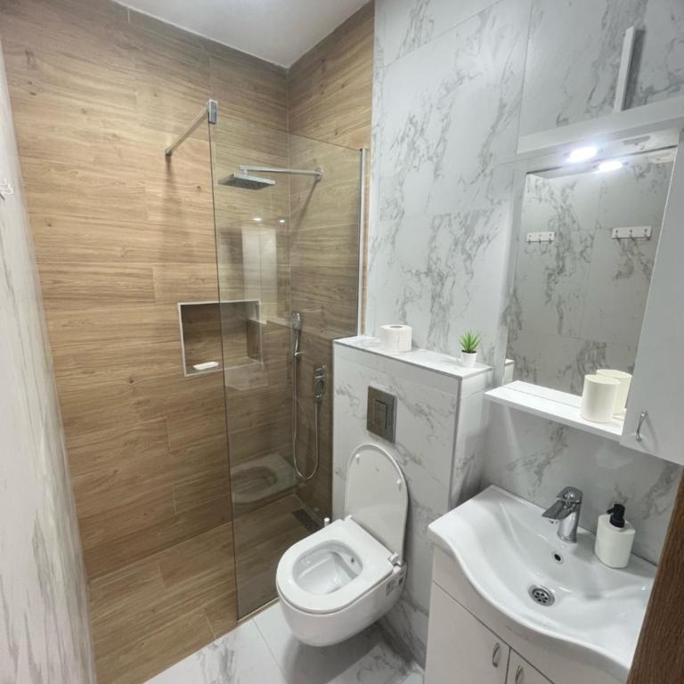 Apartmani Danilovic - One-Bedroom Apartment - 23