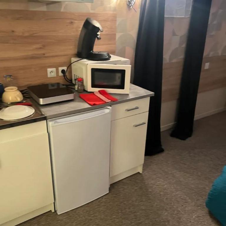 Résidence Selva Appartements à Lourdes proche sanctuaire - Studio Standard - 1