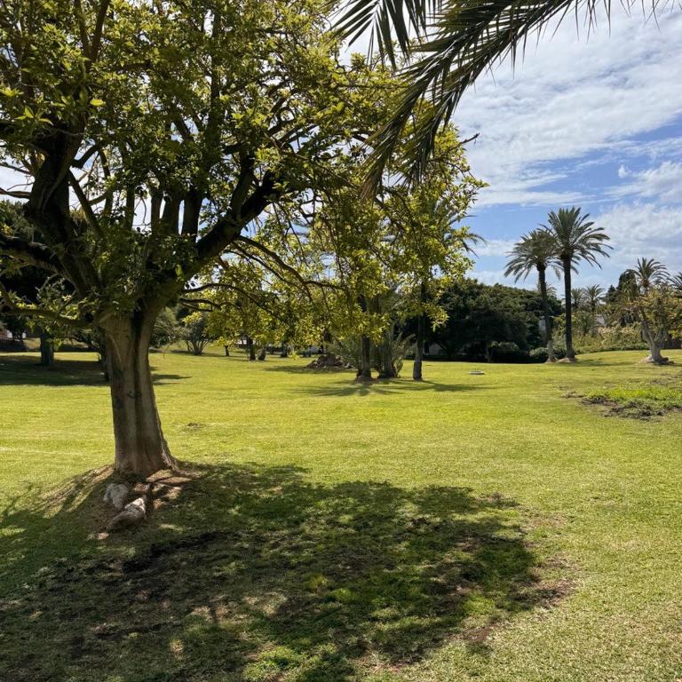 Estudio con terraza en Marbella - One-Bedroom Apartment - 13