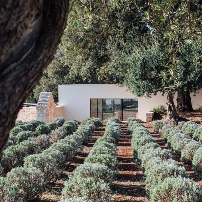 MASSERIA BARATTOLO ad uso esclusivo 14 ospiti Trulli Valle D'Itria - Villa con Piscina Privata - 20