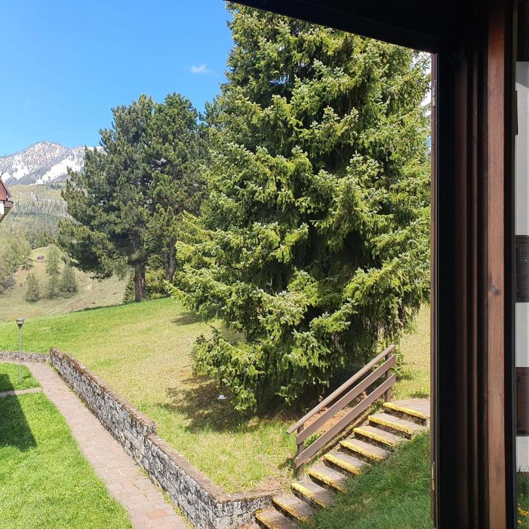 Oasi Verde - Alpine Stay Apartments - Appartamento con 2 Camere da Letto - 5