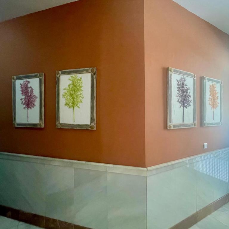 Apartamento Virgen de la Victoria 4 - Apartamento de 2 dormitorios - 13
