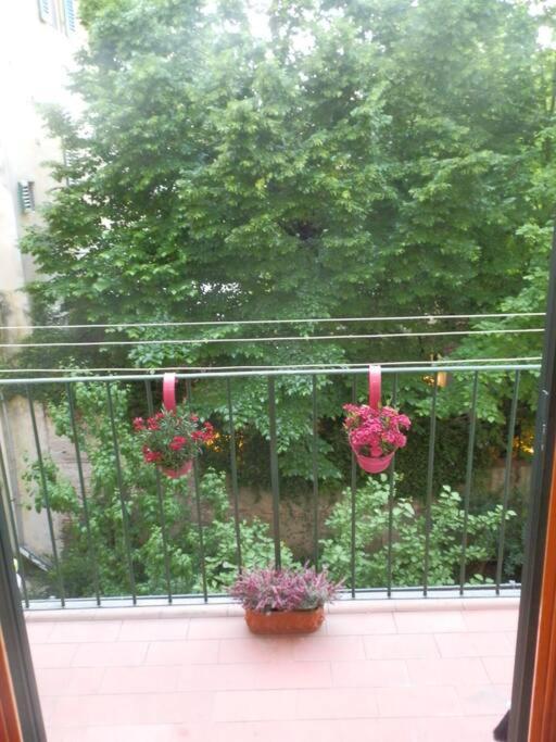 La Filarocca apartment. - Appartamento con 3 Camere da Letto - 19