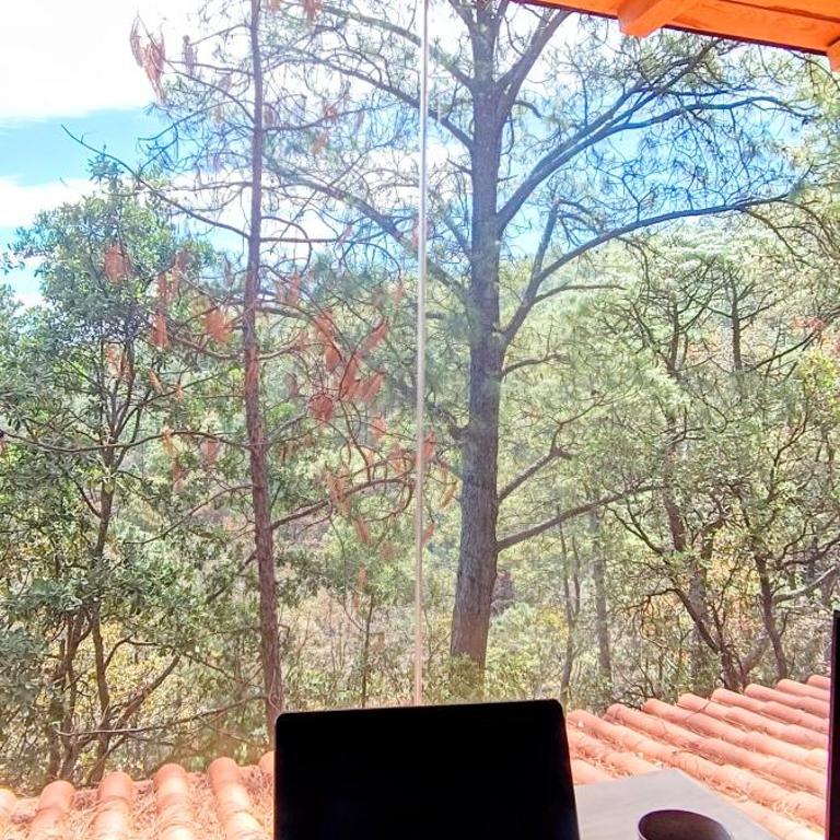 Cabaña La Finca Mazamitla - Chalet de 3 dormitorios - 26