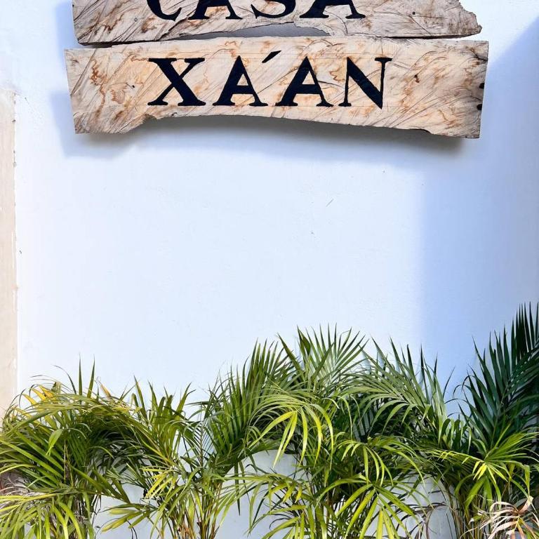 Casa Xaan - Paraiso en Valladolid - Five-Bedroom House - 42
