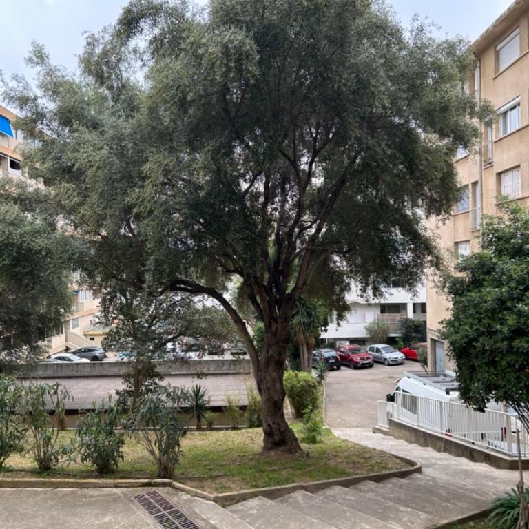 T3 Ajaccio rte des Sanguinaires - Appartement 2 Chambres - 6