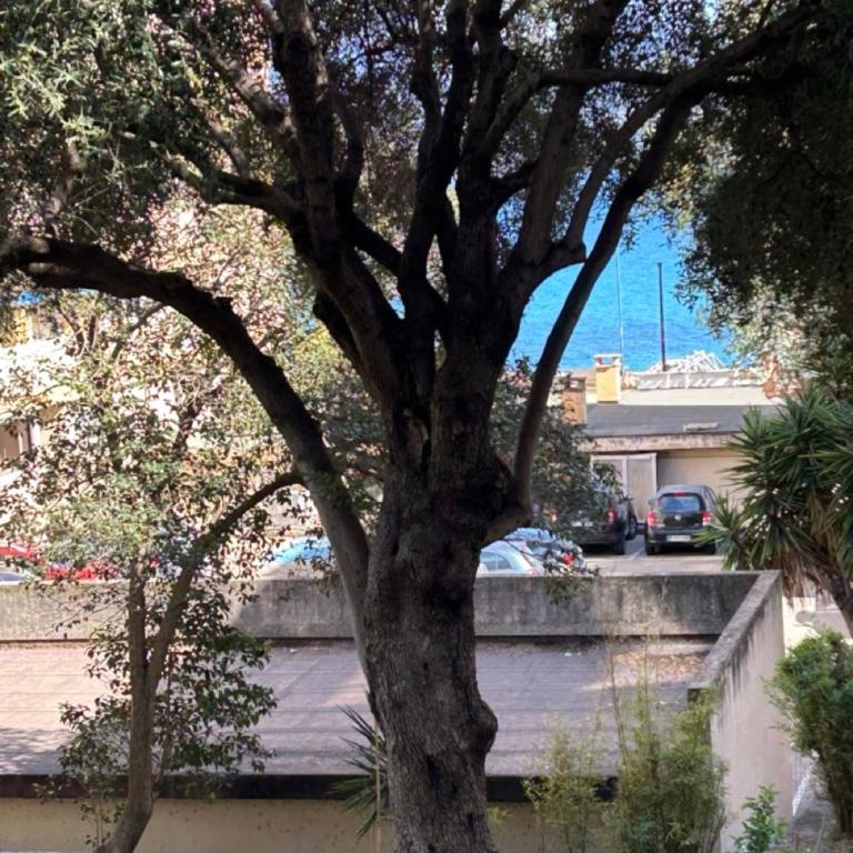 T3 Ajaccio rte des Sanguinaires - Appartement 2 Chambres - 20