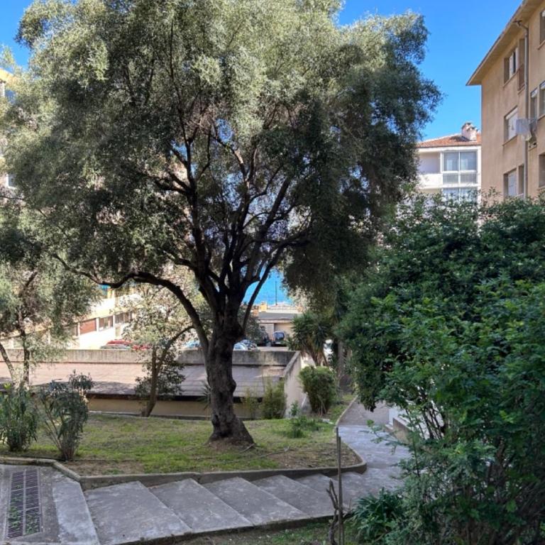 T3 Ajaccio rte des Sanguinaires - Appartement 2 Chambres - 22